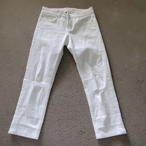 Jean capri